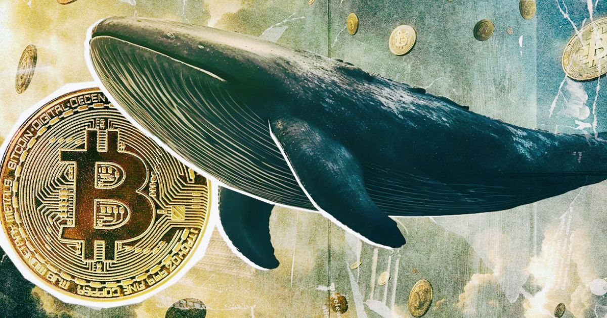 Bitcoin Whale Exchange Inflows